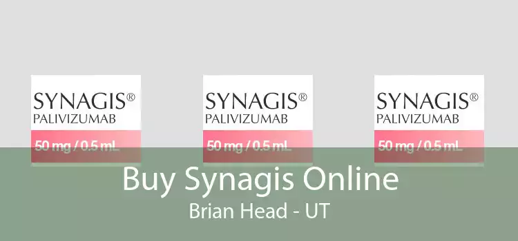 Buy Synagis Online Brian Head - UT