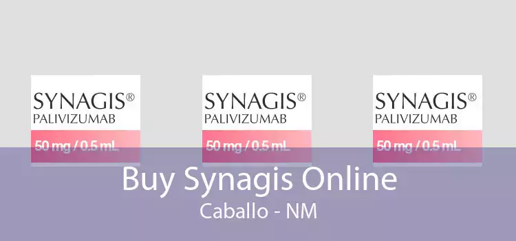 Buy Synagis Online Caballo - NM
