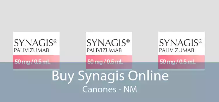 Buy Synagis Online Canones - NM